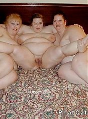 Three BBW chicks spread on the bed.